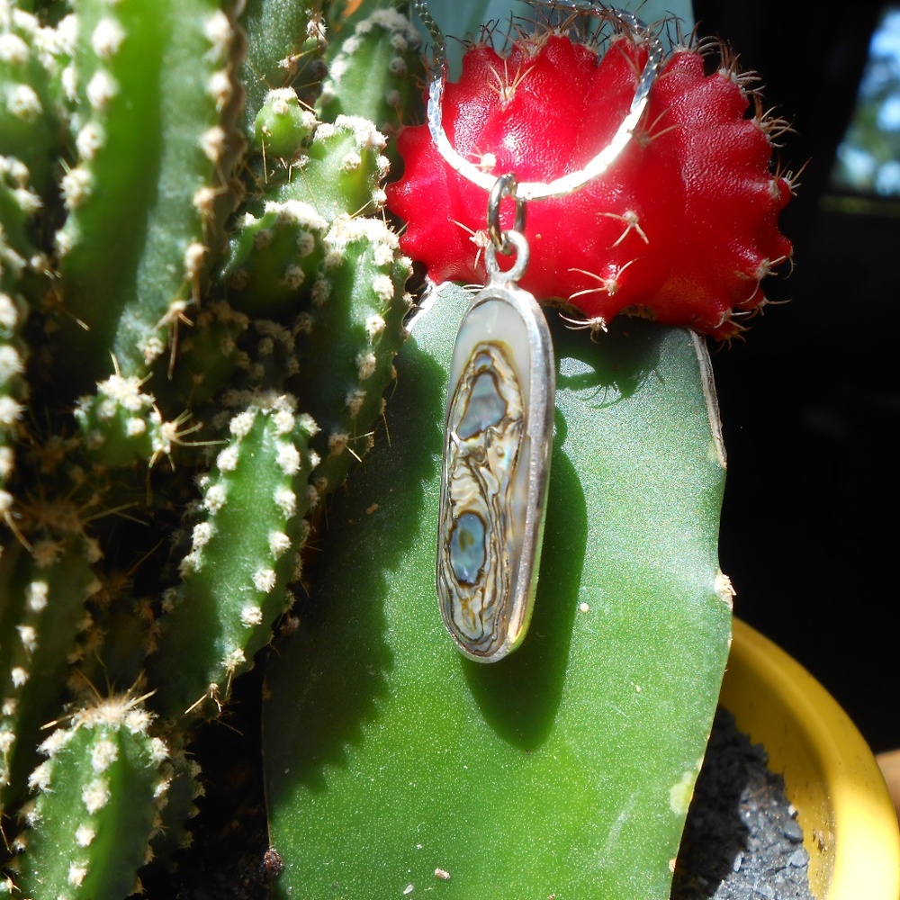 Silver & Abalone Drop Pendant